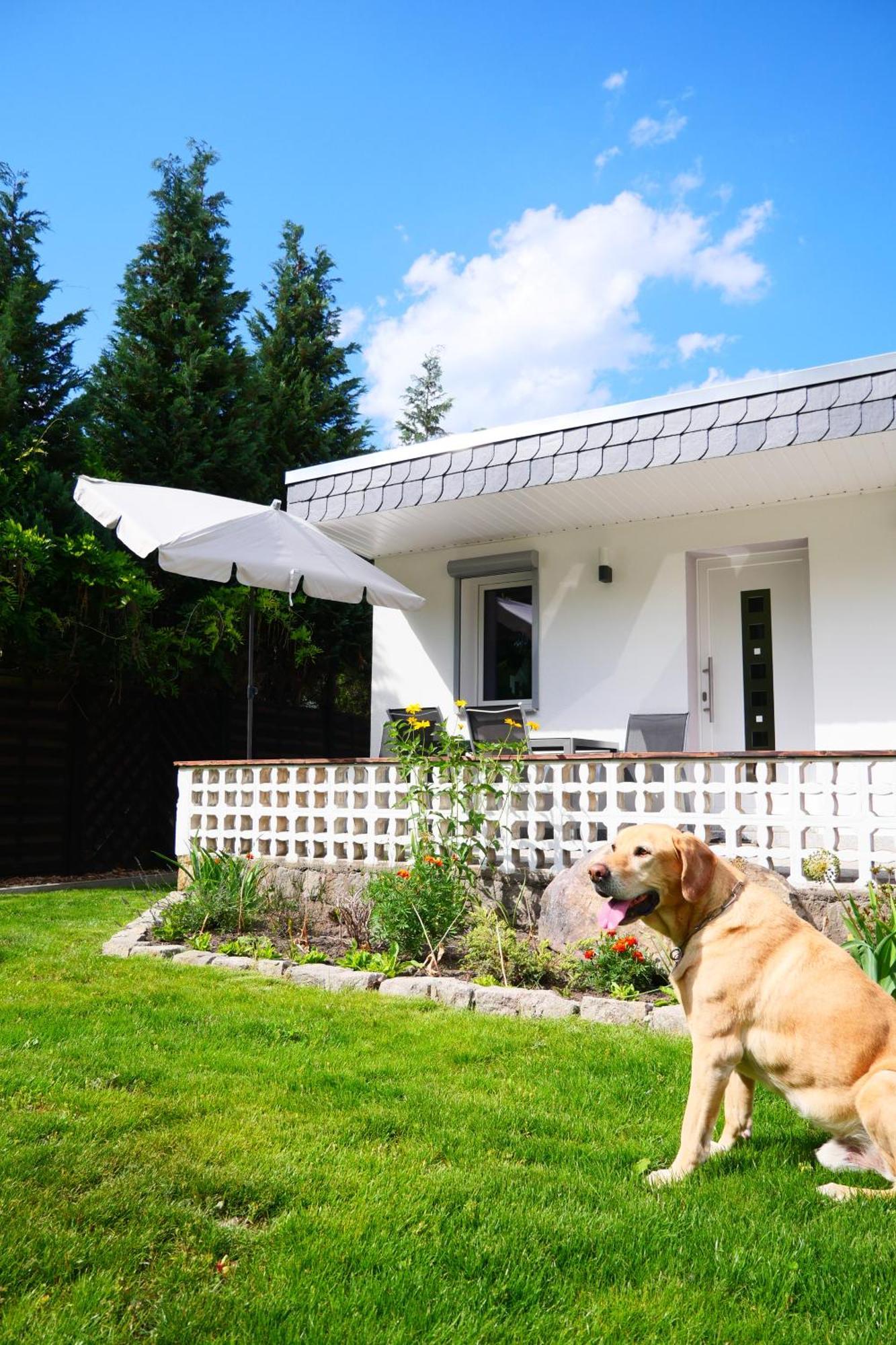 Haus Kleiner Findling Im Lausitzer Seenland Tätzschwitz エクステリア 写真